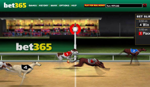 Virtual greyhound betting sites