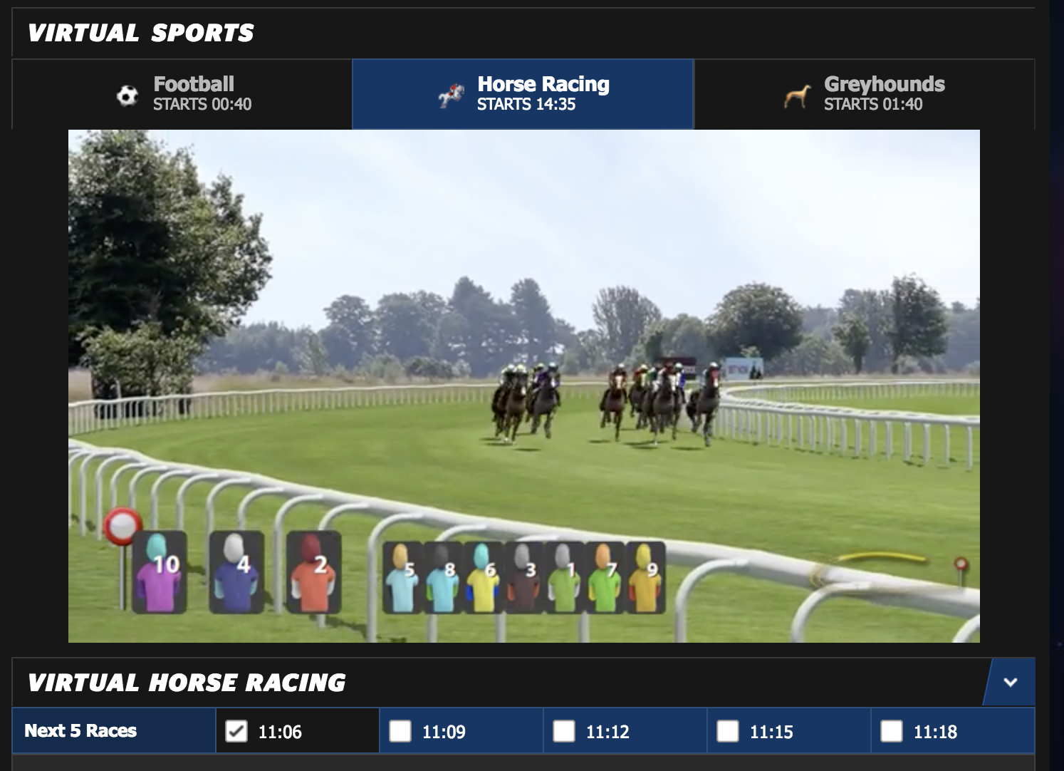 5 Ways in Which Virtual Horse Racing is Better for Punters than Real Horse Racing