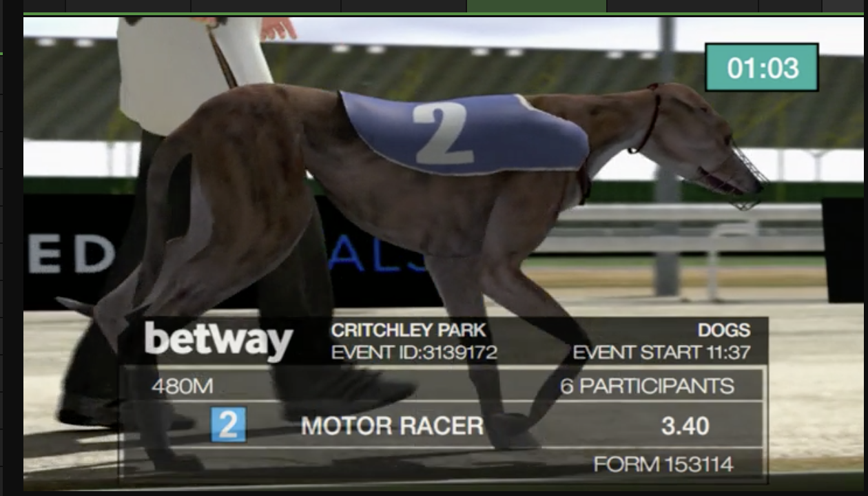 Betway Virtual Sports in Focus Part Two – Virtual Greyhounds