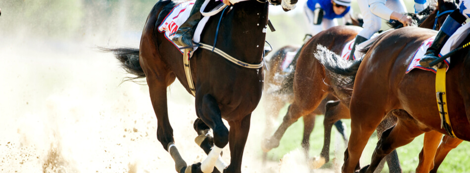 Horse racing betting sites you can trust