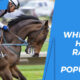 Where is horse racing most popular