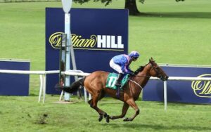 william hill horse racing