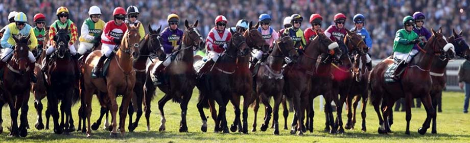 the grand national horse racing